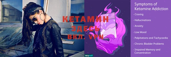 дживик Шадринск