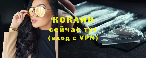 винт Шали