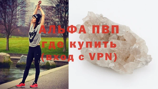 дживик Шадринск