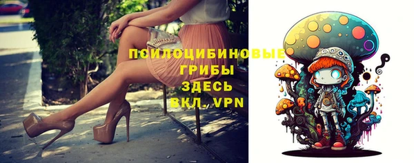 дживик Шадринск