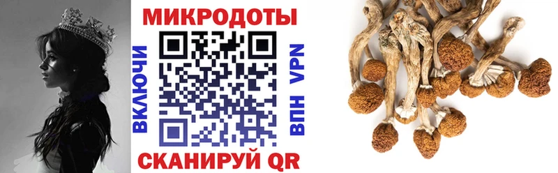 Галлюциногенные грибы мухоморы Иноземцево