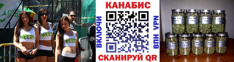 Каннабис OG Kush  Иноземцево 